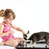 Mifoci Dog Crate Replacement Tray Plastic Spill Control-4