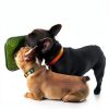 HOPET Dog Licking Mat Pro Slow Feeder Pet Anxiety Relief-3