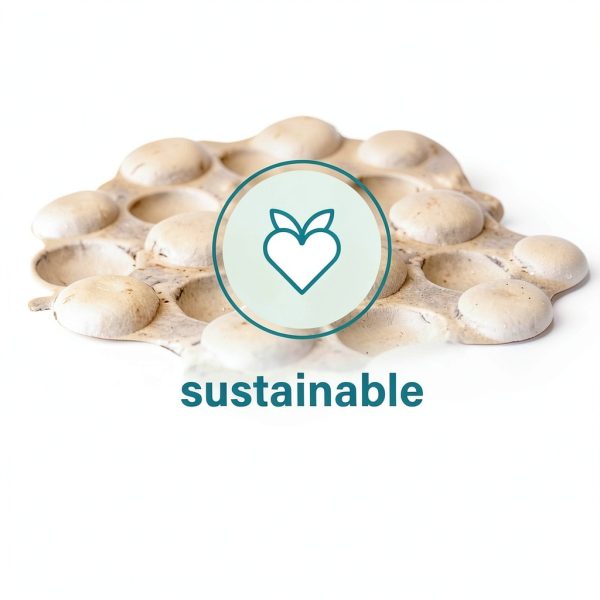 Paris Corporation Eco Bubble Wrap Sheets 250 ft Recyclable-8