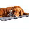 Explore Land Dog Crate Pan Cover Quiet Anti-Slip Machine-1