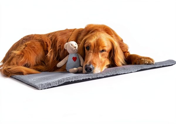 Explore Land Dog Crate Pan Cover Quiet Anti-Slip Machine-1