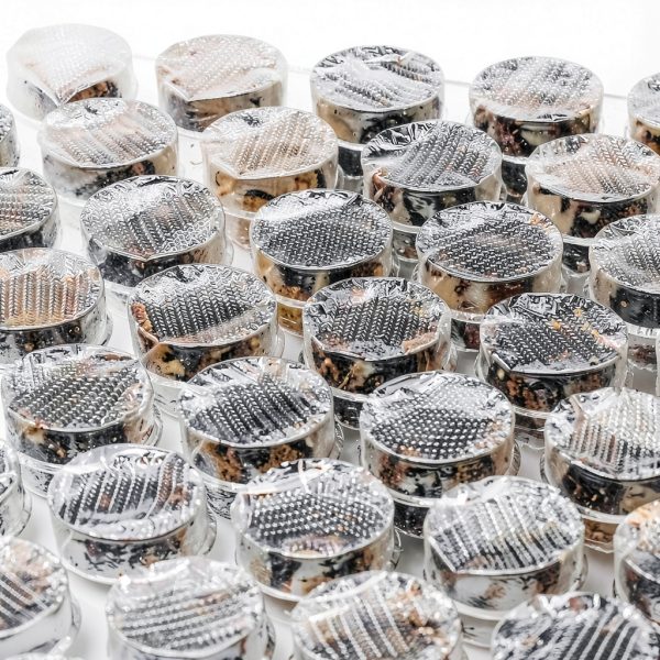 Wanguagua Clear Bubble Wrap Office Supplies-1